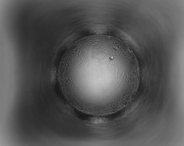 X0000093500073200710121521