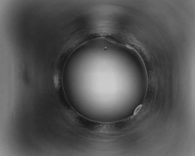 X0000093500074200710121521