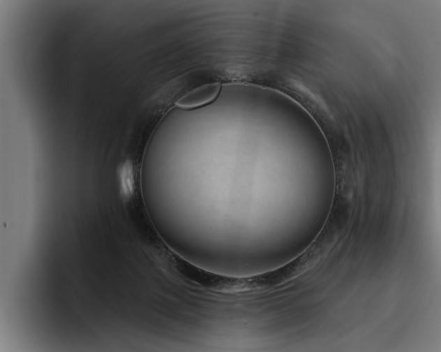 X0000093500075200710121521