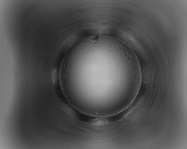 X0000093500077200710121521