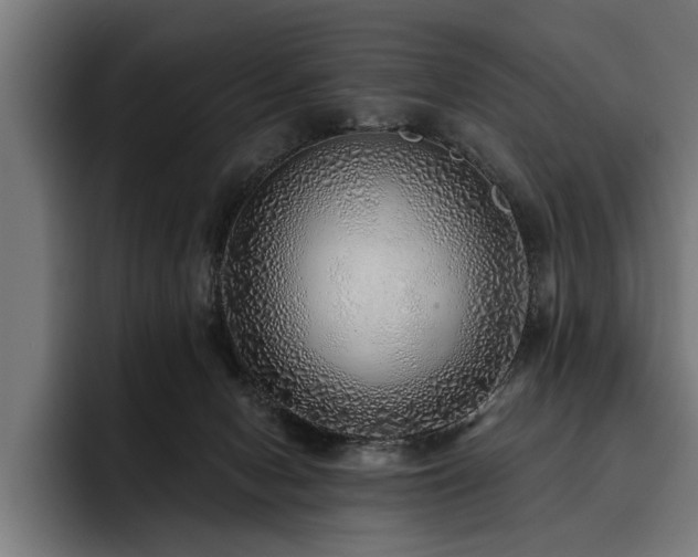 X0000093500078200710121521