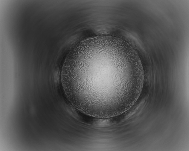 X0000093500081200710121521