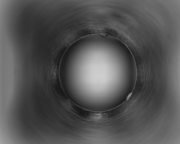 X0000093500083200710121521