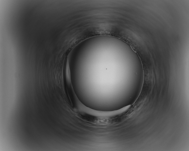 X0000093500084200710121521