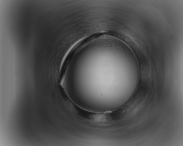 X0000093500085200710121521