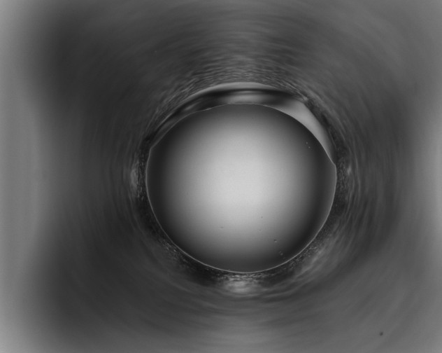 X0000093500088200710121521