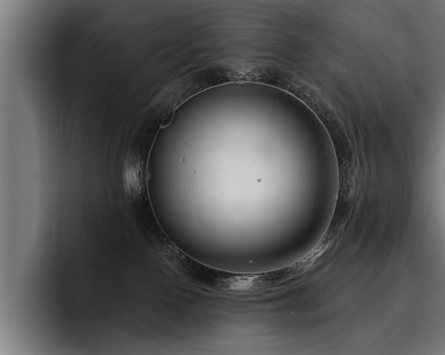 X0000093500090200710121521