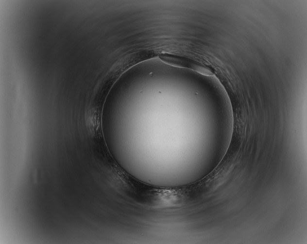 X0000093500091200710121521