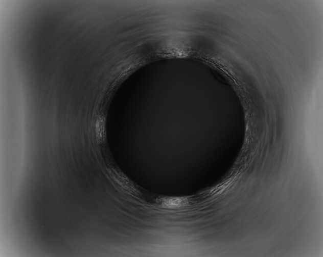 X0000093500096200710121521