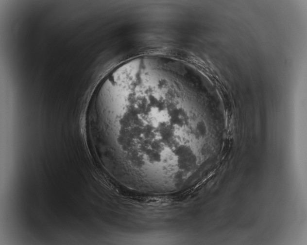X0000093500099200710121521