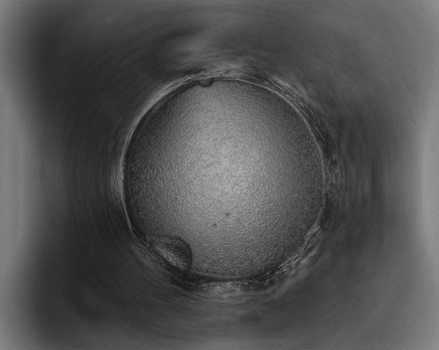 X0000093500100200710121521
