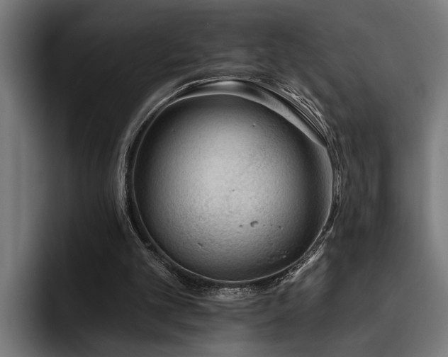 X0000093500101200710121521