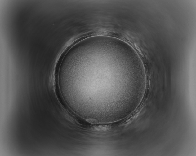X0000093500102200710121521