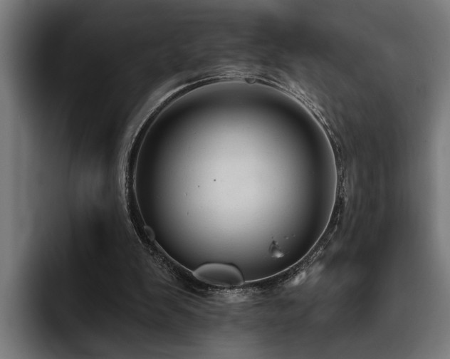 X0000093500103200710121521