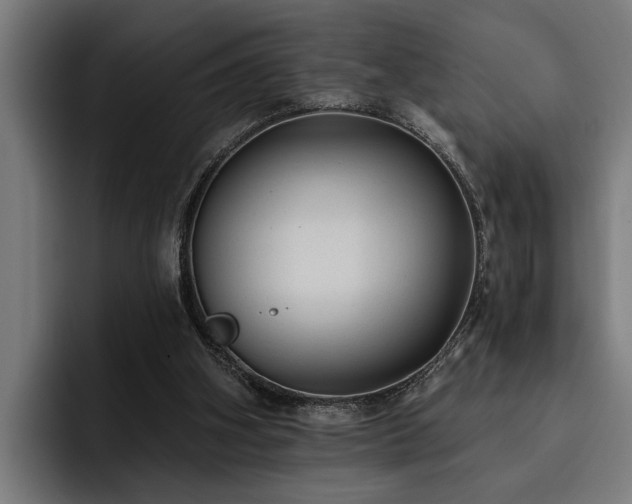 X0000093500106200710121521