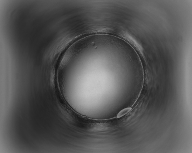 X0000093500107200710121521