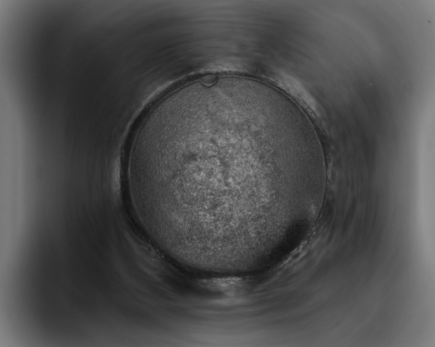 X0000093500108200710121521