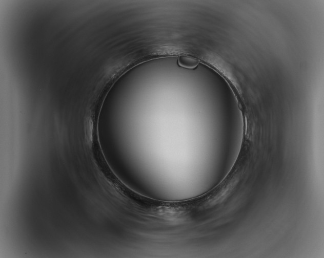 X0000093500109200710121521