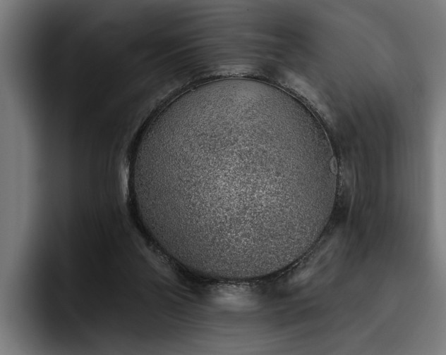 X0000093500110200710121520