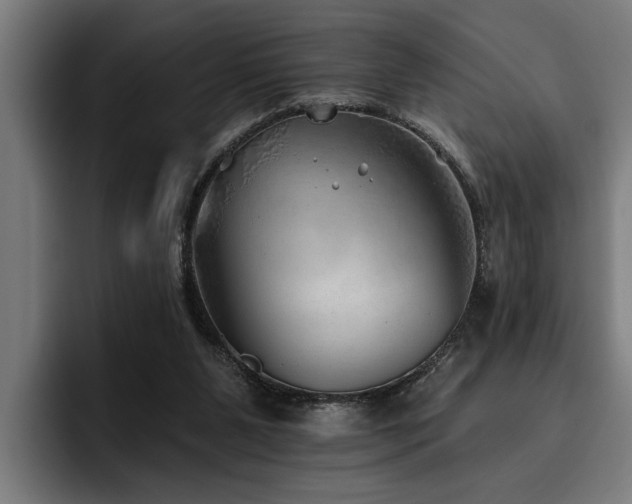 X0000093500111200710121520