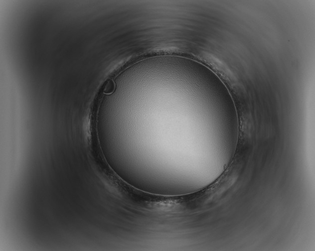 X0000093500112200710121520