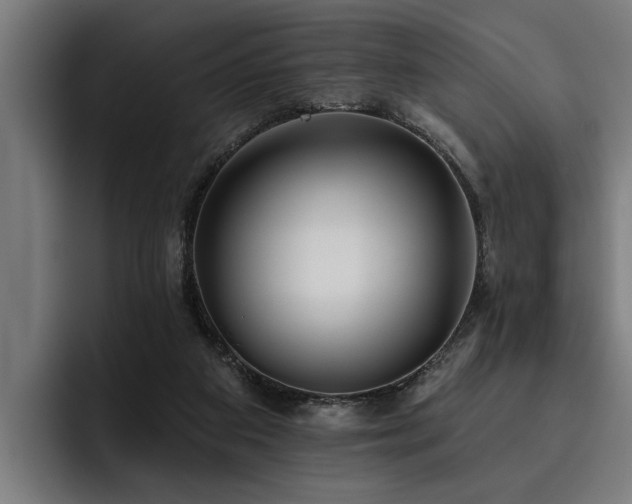 X0000093500113200710121520