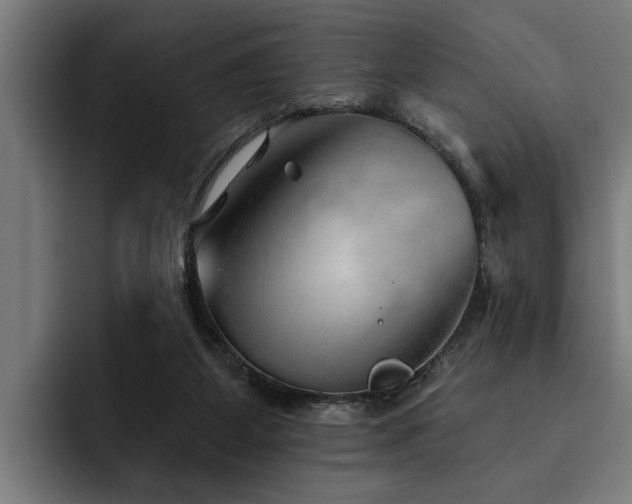 X0000093500115200710121520