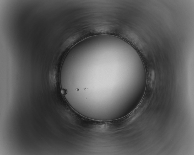 X0000093500116200710121520