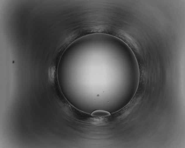 X0000093500118200710121520