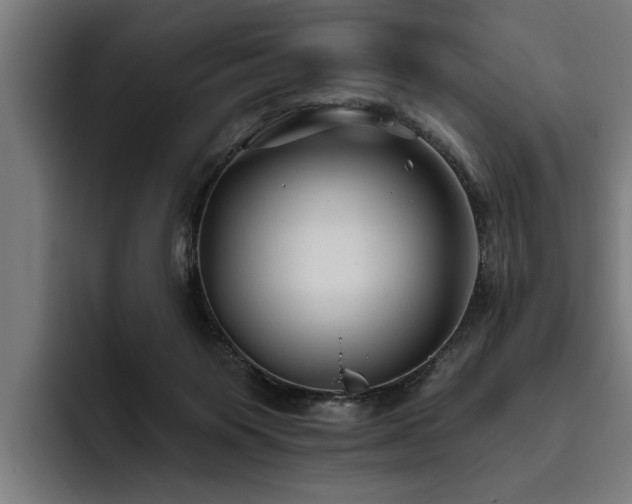 X0000093500119200710121520