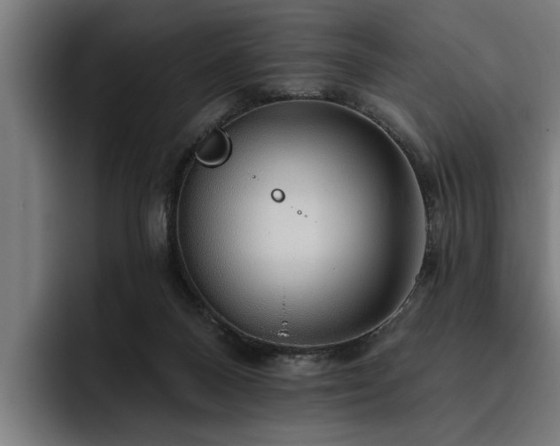 X0000093500120200710121520