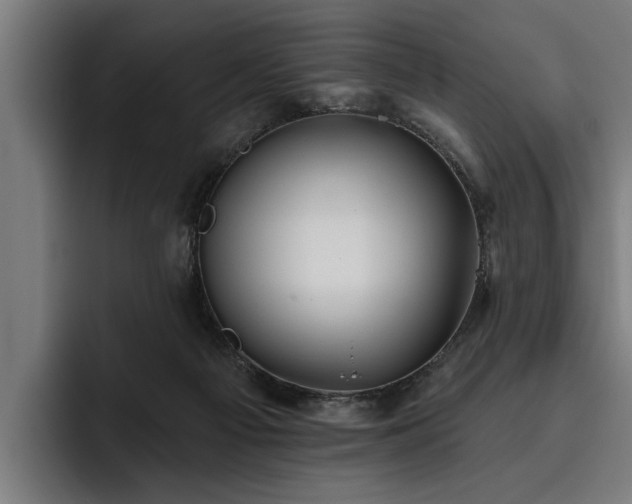 X0000093500121200710121520