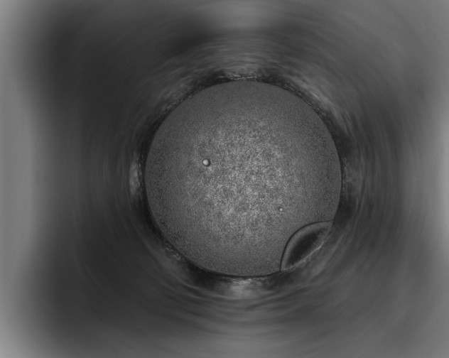 X0000093500130200710121520