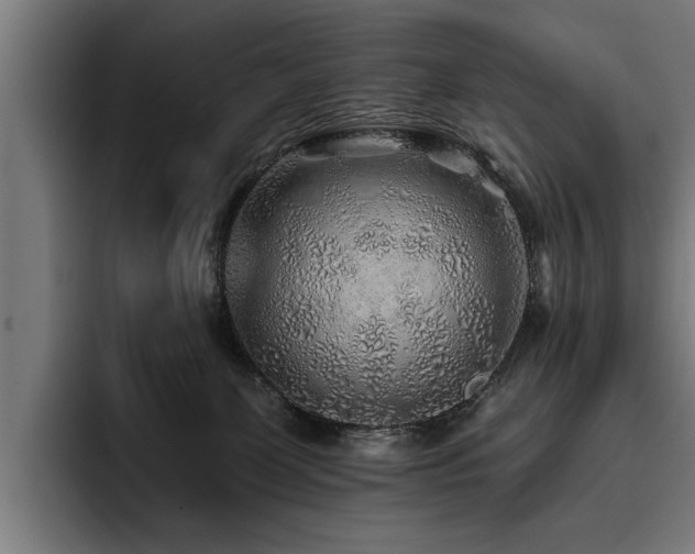 X0000093500131200710121520
