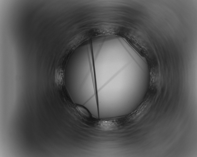 X0000093500141200710121520