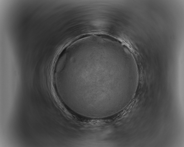 X0000093500145200710121519