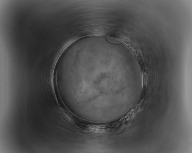 X0000093500147200710121519