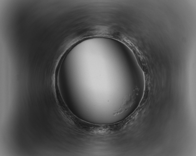 X0000093500148200710121519