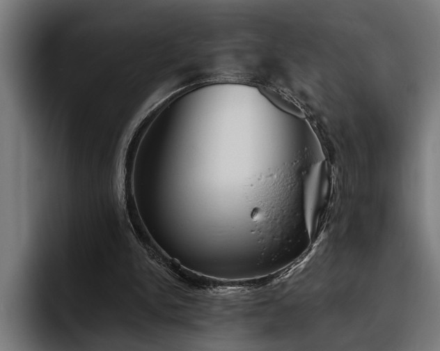 X0000093500150200710121519