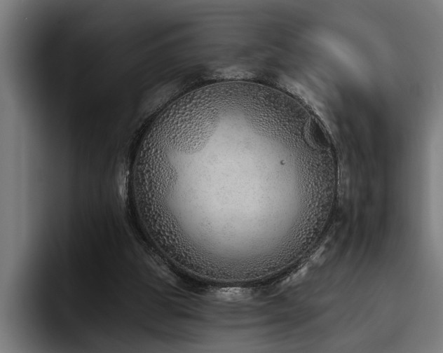X0000093500153200710121519