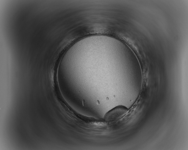 X0000093500154200710121519