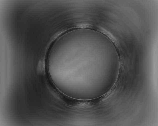 X0000093500155200710121519