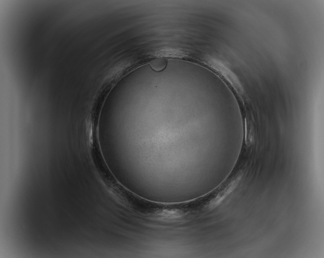 X0000093500157200710121520