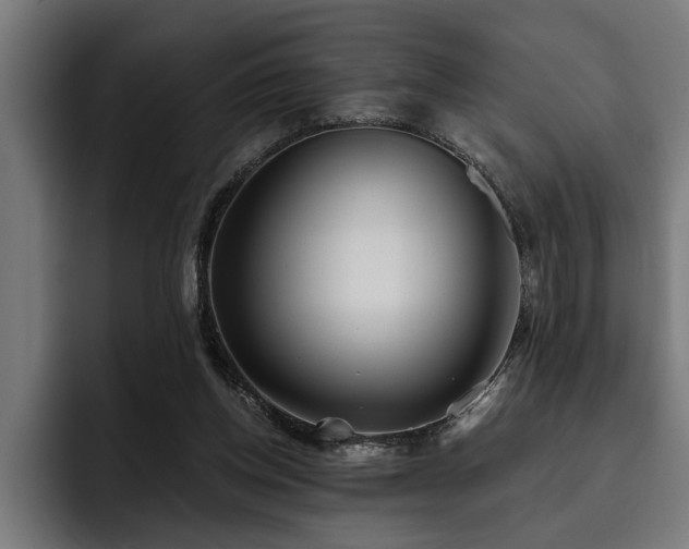 X0000093500158200710121520