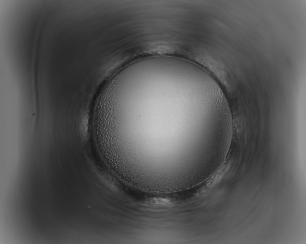 X0000093500159200710121520
