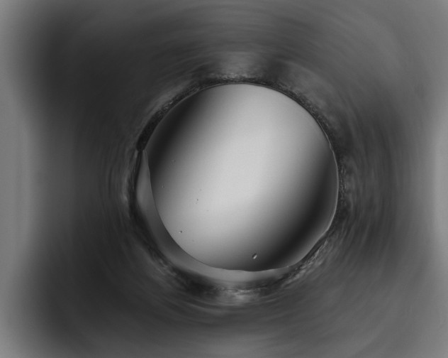 X0000093500164200710121520
