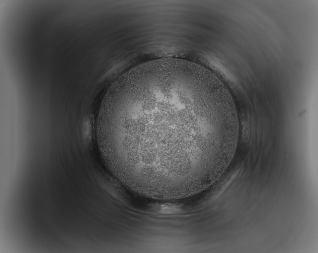 X0000093500165200710121520