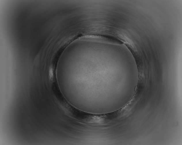 X0000093500166200710121520