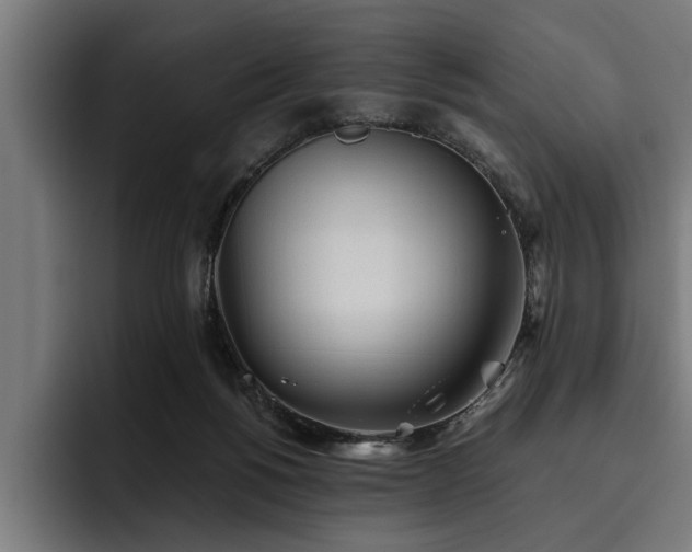 X0000093500168200710121520