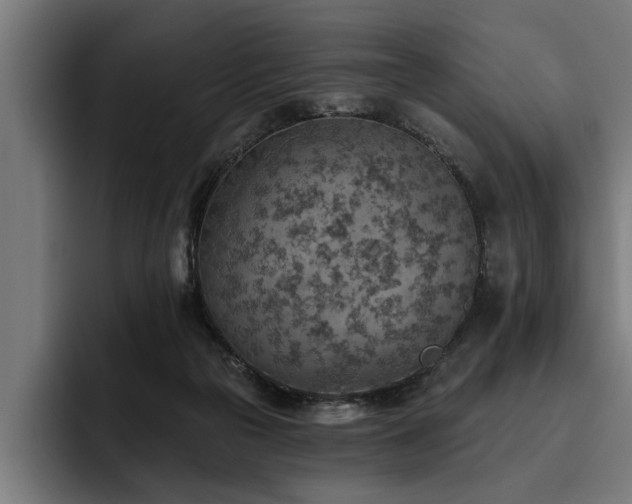 X0000093500169200710121520
